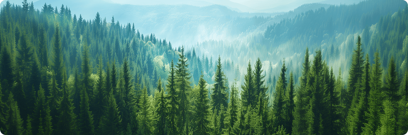 Pratique ESG d&eacute;di&eacute;e aux nouvelles &eacute;nergies :