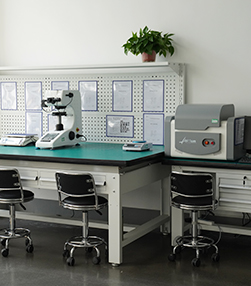 Capacit&eacute;s de R & D